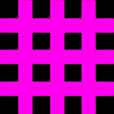 ターファイトC 2020年産(2021年度募集) 馬体分析予測・結果